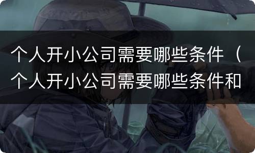 个人开小公司需要哪些条件（个人开小公司需要哪些条件和手续）