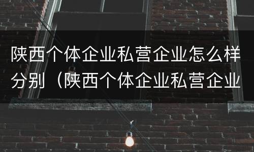 陕西个体企业私营企业怎么样分别（陕西个体企业私营企业怎么样分别交税）