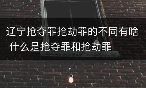 辽宁抢夺罪抢劫罪的不同有啥 什么是抢夺罪和抢劫罪