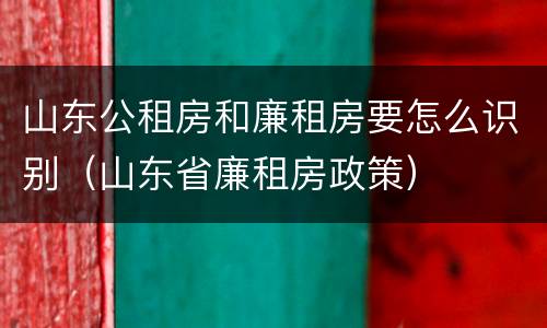 山东公租房和廉租房要怎么识别（山东省廉租房政策）