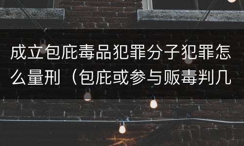 成立包庇毒品犯罪分子犯罪怎么量刑（包庇或参与贩毒判几年）