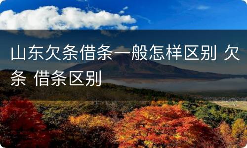 山东欠条借条一般怎样区别 欠条 借条区别