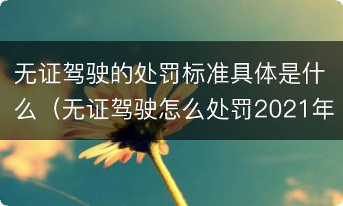 无证驾驶的处罚标准具体是什么（无证驾驶怎么处罚2021年）