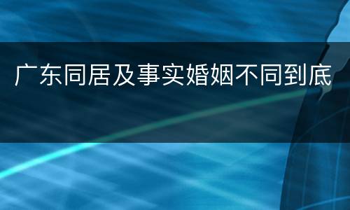 广东同居及事实婚姻不同到底