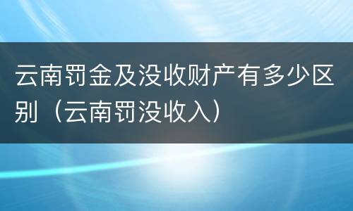 云南罚金及没收财产有多少区别（云南罚没收入）