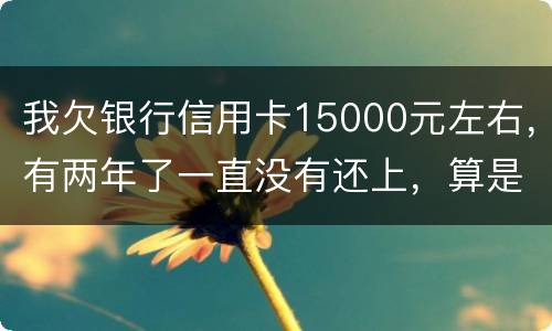 我欠银行信用卡15000元左右，有两年了一直没有还上，算是恶意透支吗