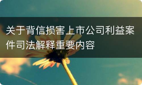 关于背信损害上市公司利益案件司法解释重要内容