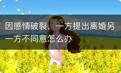 因感情破裂，一方提出离婚另一方不同意怎么办