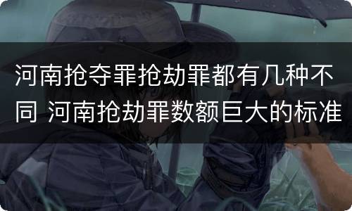 河南抢夺罪抢劫罪都有几种不同 河南抢劫罪数额巨大的标准