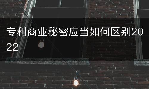 专利商业秘密应当如何区别2022