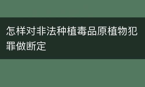 怎样对非法种植毒品原植物犯罪做断定