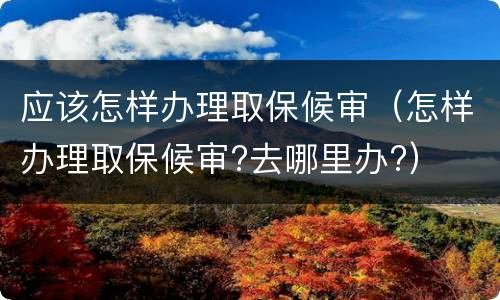 应该怎样办理取保候审（怎样办理取保候审?去哪里办?）