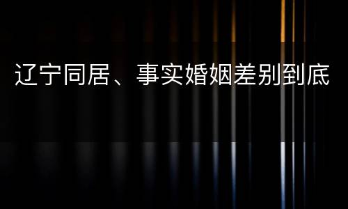 辽宁同居、事实婚姻差别到底