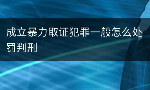 成立暴力取证犯罪一般怎么处罚判刑