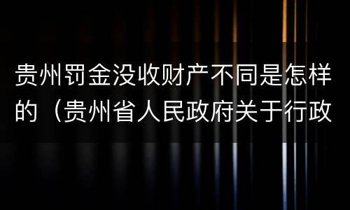 贵州罚金没收财产不同是怎样的（贵州省人民政府关于行政处罚较大数额罚款标准的规定）