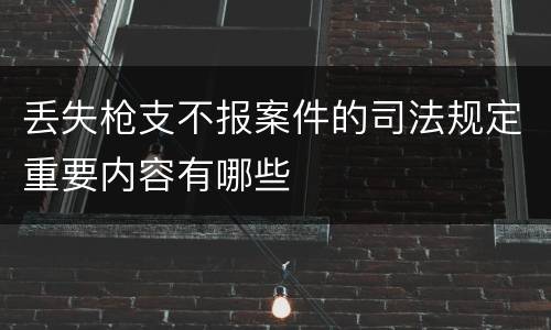 丢失枪支不报案件的司法规定重要内容有哪些