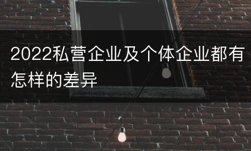 2022私营企业及个体企业都有怎样的差异