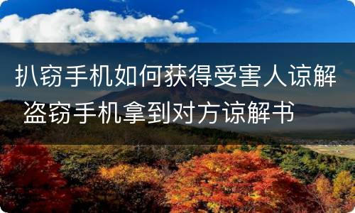 扒窃手机如何获得受害人谅解 盗窃手机拿到对方谅解书