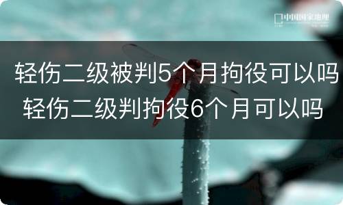 轻伤二级被判5个月拘役可以吗 轻伤二级判拘役6个月可以吗