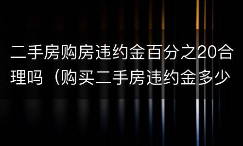 二手房购房违约金百分之20合理吗（购买二手房违约金多少）