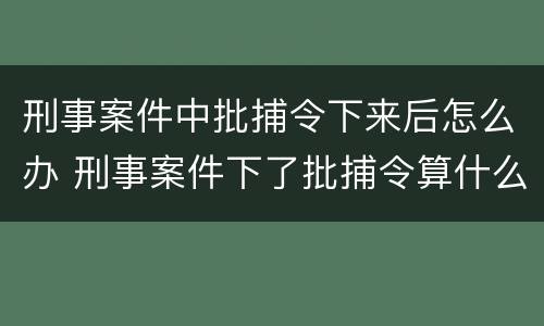 刑事案件中批捕令下来后怎么办 刑事案件下了批捕令算什么阶段