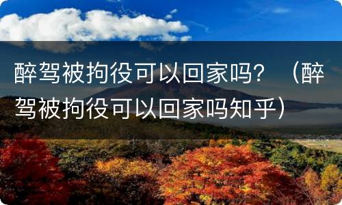 醉驾被拘役可以回家吗？（醉驾被拘役可以回家吗知乎）