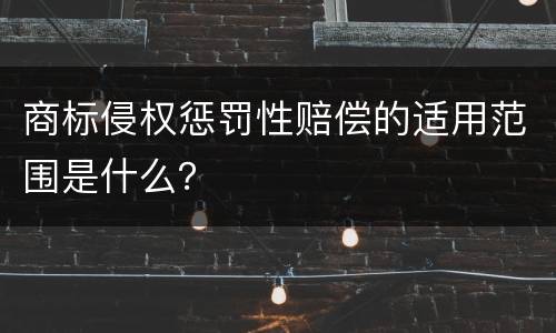 商标侵权惩罚性赔偿的适用范围是什么？