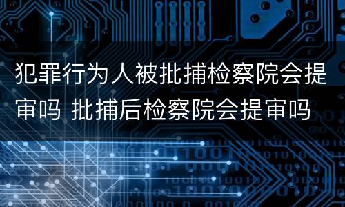 犯罪行为人被批捕检察院会提审吗 批捕后检察院会提审吗