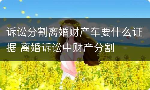 诉讼分割离婚财产车要什么证据 离婚诉讼中财产分割