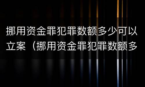 挪用资金罪犯罪数额多少可以立案（挪用资金罪犯罪数额多少可以立案侦查）