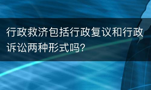 行政救济包括行政复议和行政诉讼两种形式吗？