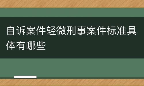 自诉案件轻微刑事案件标准具体有哪些