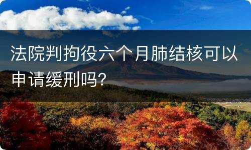 法院判拘役六个月肺结核可以申请缓刑吗？