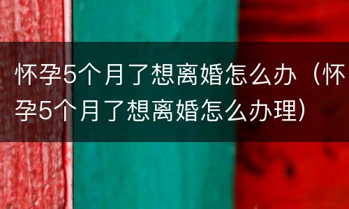 怀孕5个月了想离婚怎么办（怀孕5个月了想离婚怎么办理）