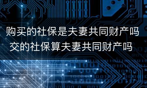 购买的社保是夫妻共同财产吗 交的社保算夫妻共同财产吗