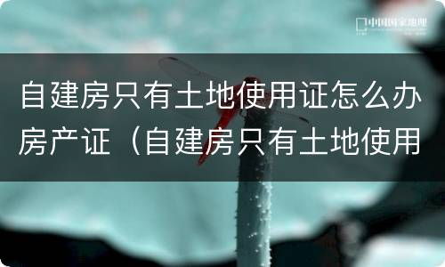 自建房只有土地使用证怎么办房产证（自建房只有土地使用证怎么办理房产证）