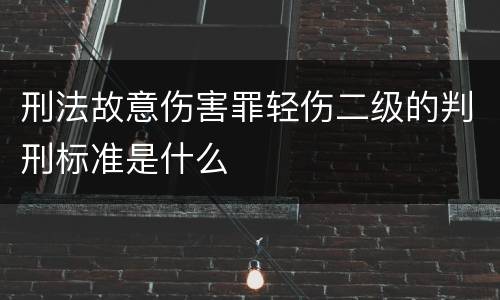 刑法故意伤害罪轻伤二级的判刑标准是什么