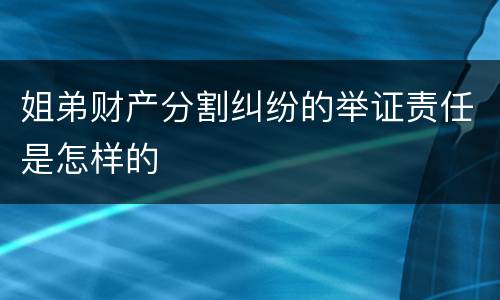 姐弟财产分割纠纷的举证责任是怎样的