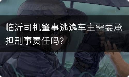 临沂司机肇事逃逸车主需要承担刑事责任吗？