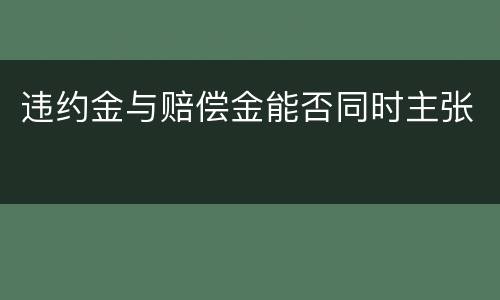 违约金与赔偿金能否同时主张