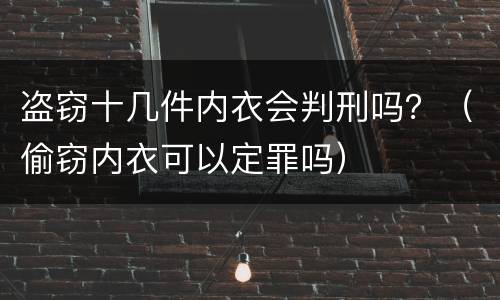 盗窃十几件内衣会判刑吗？（偷窃内衣可以定罪吗）