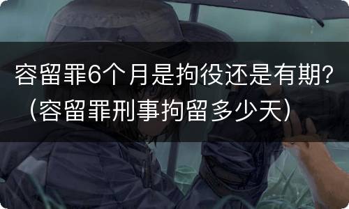 容留罪6个月是拘役还是有期？（容留罪刑事拘留多少天）