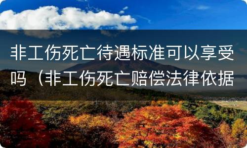 非工伤死亡待遇标准可以享受吗（非工伤死亡赔偿法律依据）