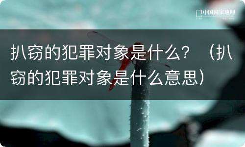 扒窃的犯罪对象是什么？（扒窃的犯罪对象是什么意思）