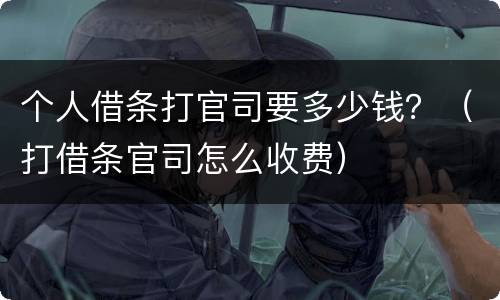 个人借条打官司要多少钱？（打借条官司怎么收费）