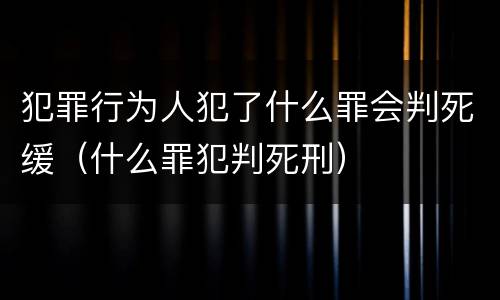 犯罪行为人犯了什么罪会判死缓（什么罪犯判死刑）