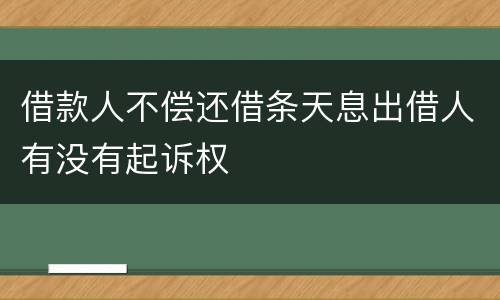 借款人不偿还借条天息出借人有没有起诉权