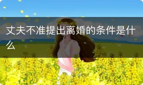 丈夫不准提出离婚的条件是什么