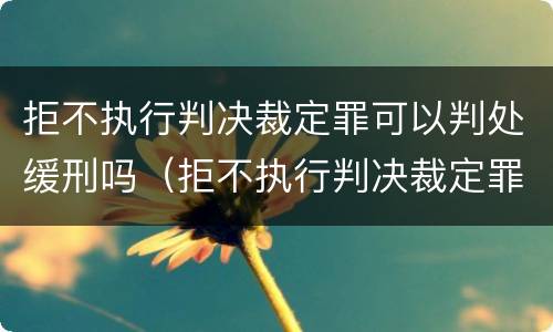 拒不执行判决裁定罪可以判处缓刑吗（拒不执行判决裁定罪可以判处缓刑吗知乎）