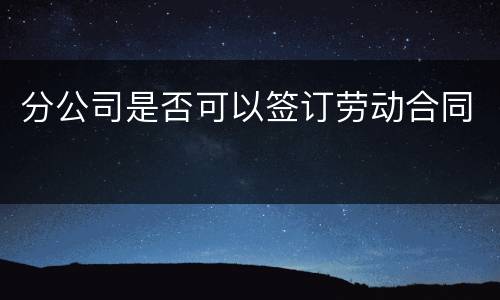 分公司是否可以签订劳动合同